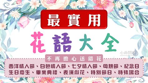 紅蟬花花語|最實用花語大全｜送花花語｜263種花的花語｜各種花 